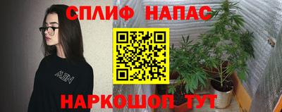 метадон Гатчина