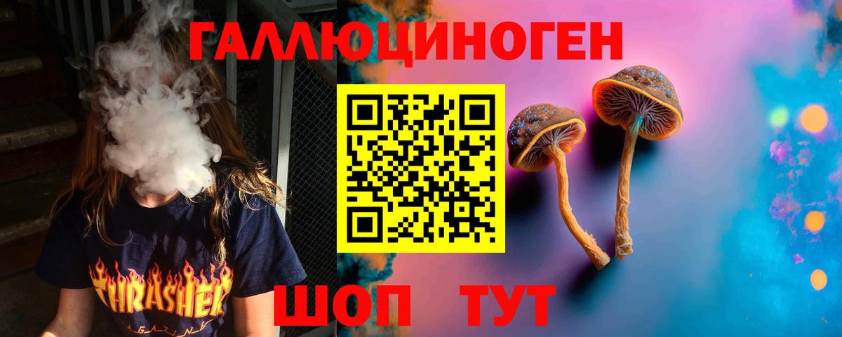 Галлюциногенные грибы Cubensis  Псилоцибиновые грибы Cubensis  Мелеуз  Вход с VPN 